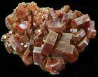 Deep Red Vanadinite Crystals on Matrix - Morocco #42152-1
